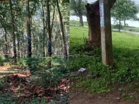 Phát hiện thi thể người phụ nữ trong công viên với nhiều vết thương