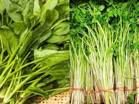 6 loại rau quen thuộc nếu không trần qua trước khi nấu chẳng khác gì 'thuốc độc', nhiều người không biết