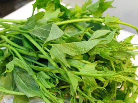 Loại rau giá vài nghìn đồng tốt chẳng kém tiên dược, là kẻ thù của ung thư, tiếc là nhiều người không biết
