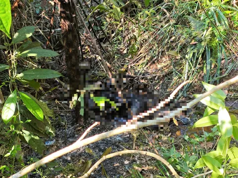 Tá hỏa phát hiện thi thể cháy đen giữa cánh đồng mía trong tư thế đau lòng: Xuất hiện nhân vật bí ẩn