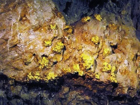 Việt Nam phát hiện 40 mỏ vàng với tổng trữ lượng gần 30 tấn