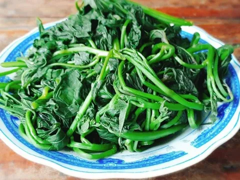 Loại rau bình dân cho không ai lấy hóa ra lại 'bổ hơn nhân sâm tổ yến', ngừa ung thư toàn diện