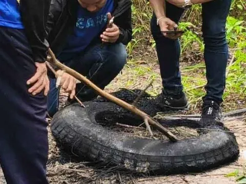 4 nạn nhân bị thiêu xác, chôn lấp trong rừng cọ: Phát hiện manh mối quan trọng về hung thủ