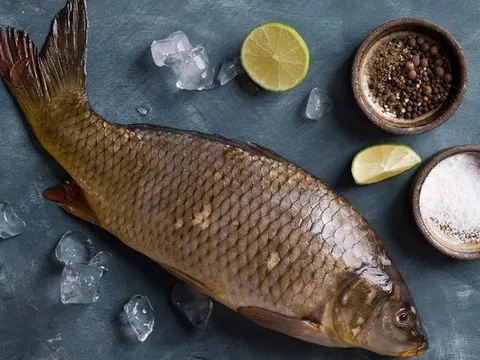 1 bộ phận của cá độc hơn cả thuốc độc, nhiều người tưởng bổ vẫn thích ăn: Bác sĩ cảnh báo hãy bỏ ngay