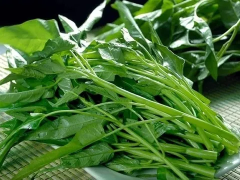 Loại rau giá rẻ đang vào mùa được ví như 'nhân sâm bình dân' của người Việt: Mang lại lợi ích sức khỏe đáng kinh ngạc