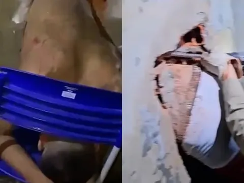 Phát hiện phạm nhân bị mắc kẹt trong tường bê tông sau hai ngày đào hầm trốn trại