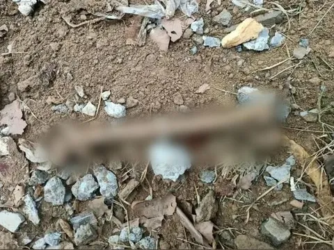 Phát hiện bộ xương người trong ngôi nhà mới mua: Nhân chứng ớn lạnh với hiện trường