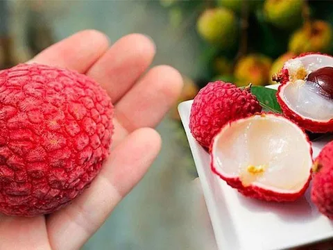 Kẻ thù 'không đội trời chung' của quả vải: Thèm đến mấy tuyệt đối không ăn cùng kẻo rước họa vào thân