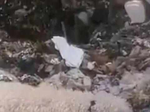 Phát hiện thi thể bé gái sơ sinh không nguyên vẹn trong túi rác: Dấu vết ADN hé lộ chân dung nghi phạm