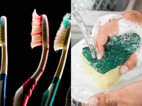 3 thứ bẩn nhất trong nhà là ổ vi khuẩn nhưng ai cũng thường xuyên sử dụng mỗi ngày, số 1 khiến bạn giật mình