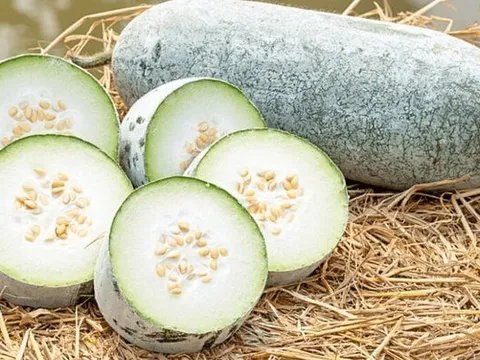 4 đại kỵ khi ăn bí đao nhiều người không biết hay mắc phải chẳng khác gì thuốc độc 'tra tấn' thận