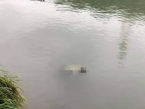 Chồng vừa qua đời, người vợ ném con 4 tuổi xuống hồ tử vong: Nguyên nhân khiến dư luận phẫn nộ