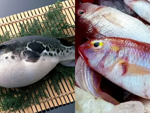 Mối nguy gắn liền với loài (thủy sản, động vật trên cạn, thực vật trên cạn) và tác hại của chúng