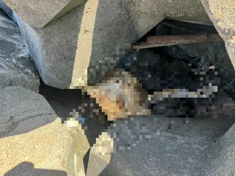 Phát hiện thi thể nữ giới không mặc quần áo mắc kẹt trong khối bê tông chắn sóng