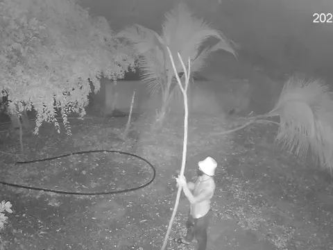 Cip: 1 phút tung hoành của 2 thanh niên, đột nhập nhà dân 2 lần bắt gọn đàn gà