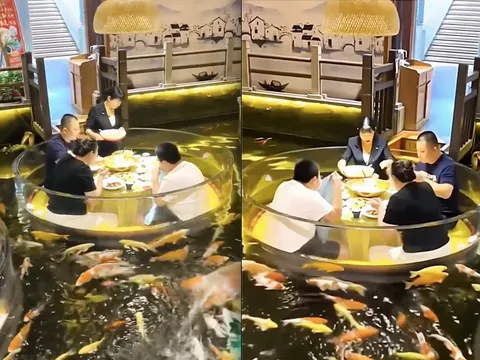 Bàn tiệc bất ngờ vỡ tung giữa lúc đang ăn khiến các thực khách rơi thẳng xuống nước: Lý do bất ngờ