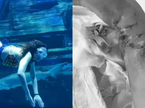 Vụ "nàng tiên cá" co giật dưới đáy bể: Hé lộ sự thật bất ngờ ít người biết