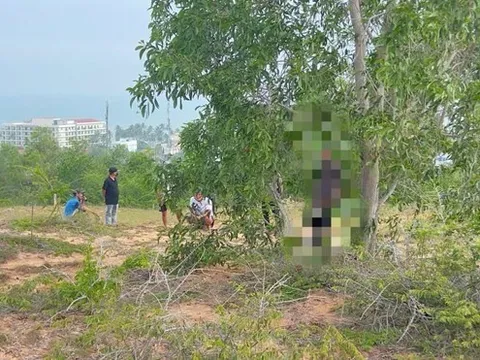 Người đàn ông tử vong dưới tán cây trên đồi vắng: Hiện trường có gì?