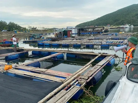 Nghệ An ghi nhận những thiệt hại về người đầu tiên khi bão số 3 còn ở ngoài khơi