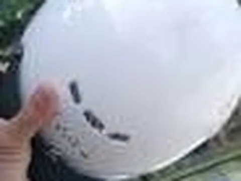 Danh tính người phụ nữ dùng mũ bảo hiểm đánh công an bị thương