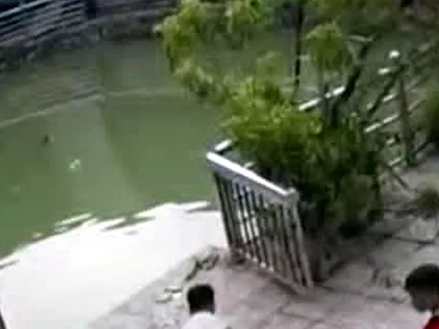 Anh em ruột 9 tuổi và 6 tuổi đuối nước thương tâm tại giếng nước gần nhà: Tiết lộ đau lòng từ lãnh đạo xã