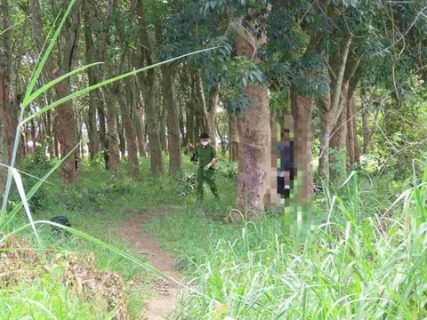 Phát hiện người đàn ông tử vong trong lô cao su ở Đồng Nai, hiện trường có gì?