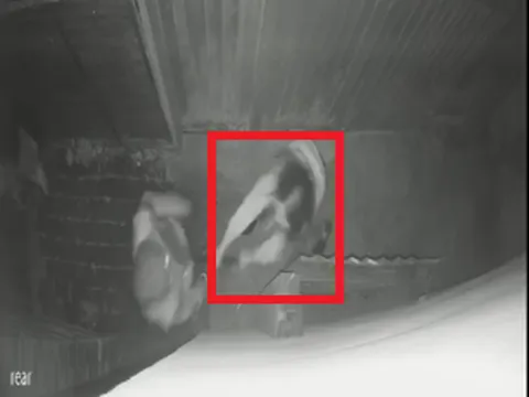 Anh: Khoảnh khắc người phụ nữ cầm xẻng đập vào đầu hàng xóm khiến ai cũng phẫn nộ