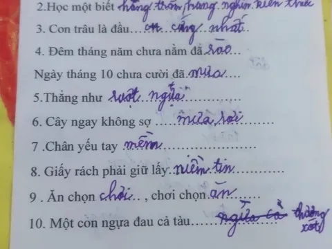 Bài tập tiếng Việt gây xôn xao cõi mạng vì loạt đáp án "có một không hai" của học sinh tiểu học