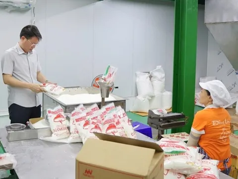 Giám đốc công ty sản xuất mì chính, dầu ăn giả từng làm quản lý thị trường là ai?