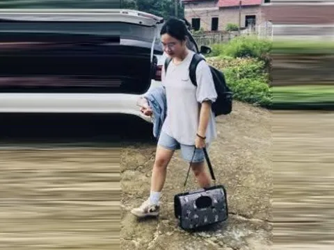 Bị mẹ mắng vì để mèo đi vệ sinh bậy ra nhà, nữ sinh vừa đỗ đại học ôm mèo bỏ nhà đi