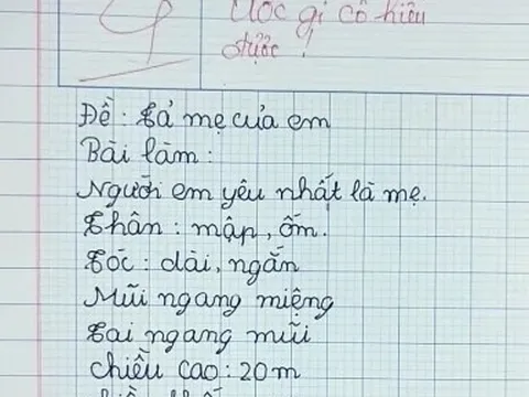 Viết văn tả về người mẹ “không có thật”, cậu bé lớp 2 bị cô giáo chấm 4 điểm