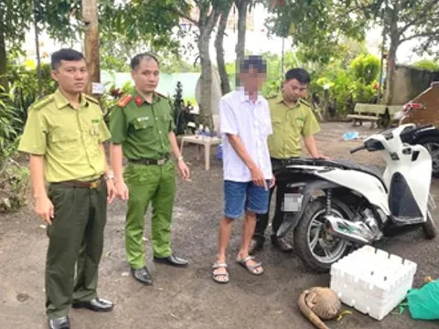 Thông tin chi tiết vụ 3 người bị khởi tố về hành vi mua bán, vận chuyển tê tê Java