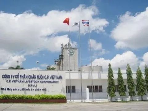 Sau vụ ầm ĩ "bán thịt heo bệnh", C.P Việt Nam đạt 2 tỷ USD doanh thu, hụt thu gần 6.000 tỷ đồng tại Việt Nam
