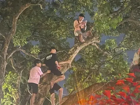 Chen lấn, xả rác, chống đối khi xem tổng hợp luyện diễu binh ở Hà Nội: Công an Hà Nội cảnh báo "nóng"