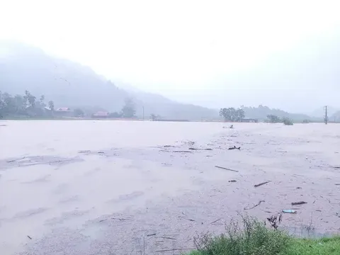 Những con số thiệt hại nhói lòng từ cơn bão số 5