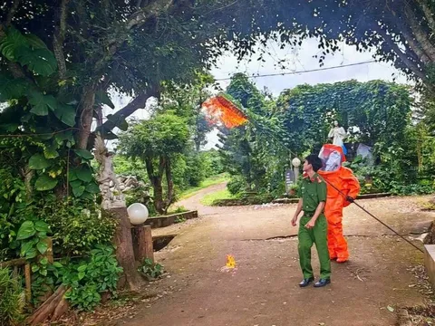 Thông tin mới nhất vụ ong vò vẽ đốt 3 trẻ nhỏ thương vong