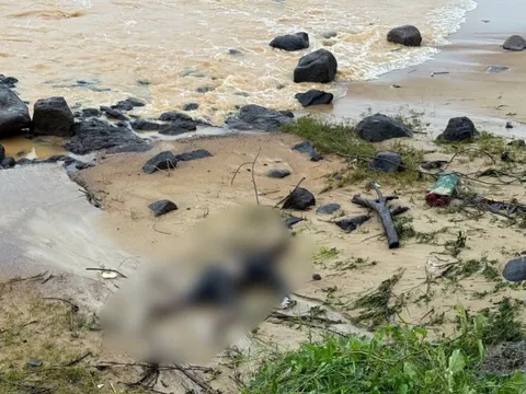 Thi thể không nguyên vẹn dạt vào bờ biển ở Quảng Trị là học sinh lớp 11: Xót xa hoàn cảnh gia đình rất khó khăn