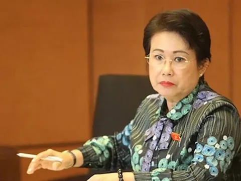 Vì sao cựu Phó Bí thư Tỉnh ủy Đồng Nai Phan Thị Mỹ Thanh bị khởi tố?