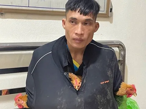 Bắt Lầu Văn Bình, Trương Văn Trữ ăn trộm gà