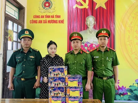 Khởi tố, bắt Lê Thị Oanh