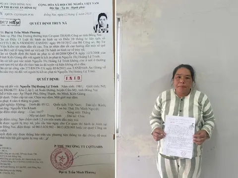 Bắt giữ Nguyễn Thị Hoàng Lệ Trinh sau 10 năm lợi dụng 2 lần mang thai bỏ trốn