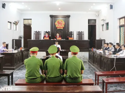 Vụ gà lôi trắng: Bị cáo Thái Khắc Thành được miễn trách nhiệm hình sự, thả tự do tại tòa