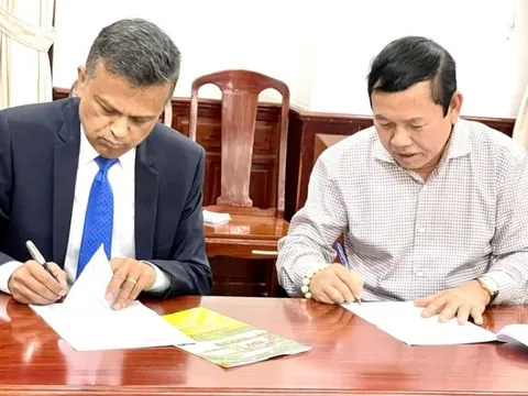 Vì sao Tổng giám đốc Công ty dầu khí Nam Sông Hậu bị bắt?