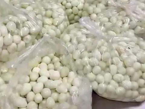 Vụ "thịt ôi, trứng hỏng" vào bữa ăn của học sinh tiểu học Cự Khê: Công ty cung cấp suất ăn có động thái