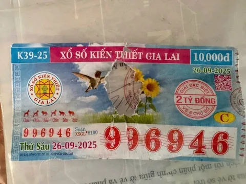 Tờ vé số trúng giải độc đắc bị rách ở Gia Lai đã được trả thưởng: Người phụ hồ nhận hơn 1,8 tỷ đồng