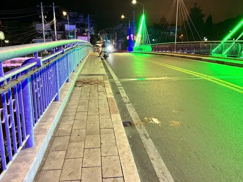 Bùi Quang Sơn đầu thú