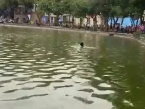 Danh tính cô gái nhảy xuống hồ Hoàn Kiếm tử vong, hé lộ thêm chi tiết đau lòng về chồng và con gái