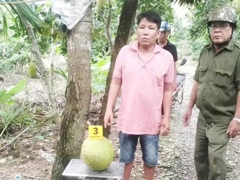 Trộm 2 trái mít bị khởi tố: Phân tích của luật sư sẽ khiến nhiều người không còn bất ngờ