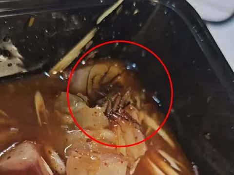 Ăn gần hết suất gân bò sốt Thái, khách hàng tá hỏa thấy gián: Chủ cửa hàng trần tình