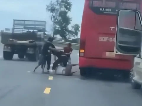 Xe container và ô tô khách dừng giữa đường, tài xế lao vào choảng nhau: Hình ảnh hiện trường hỗn loạn